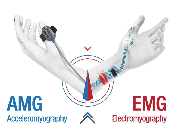 AMG EMG Sensors optim